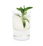 Mintshot_2
